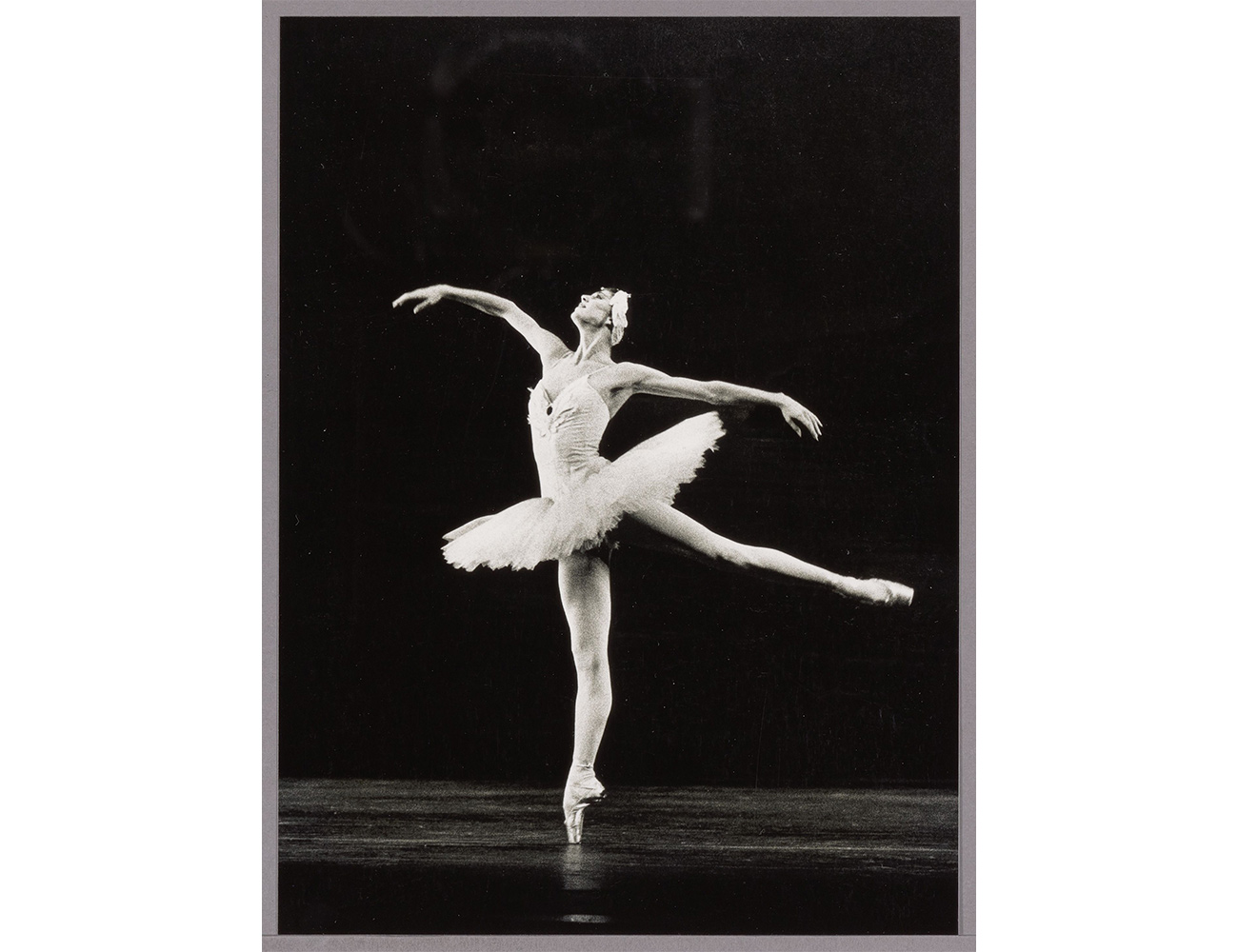 Swan Lake - Coleen Davis