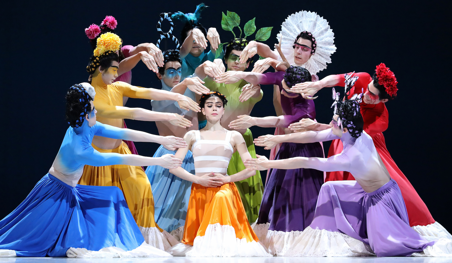 Post neef Luiheid Dutch National Ballet performances | Nationale Opera & Ballet