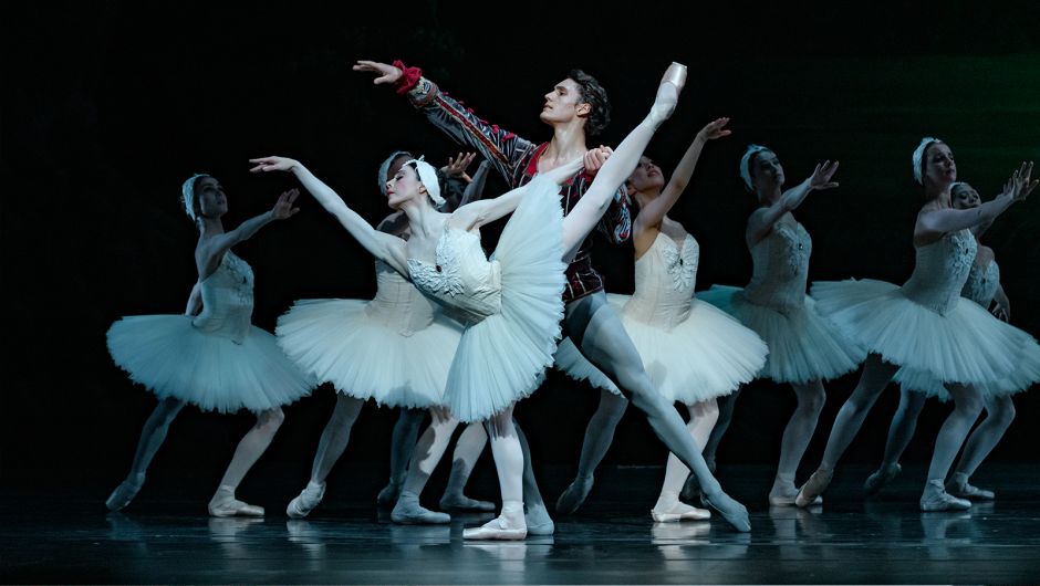 journalist Geef energie Artistiek Ballet der balletten: Het Zwanenmeer | Nationale Opera & Ballet