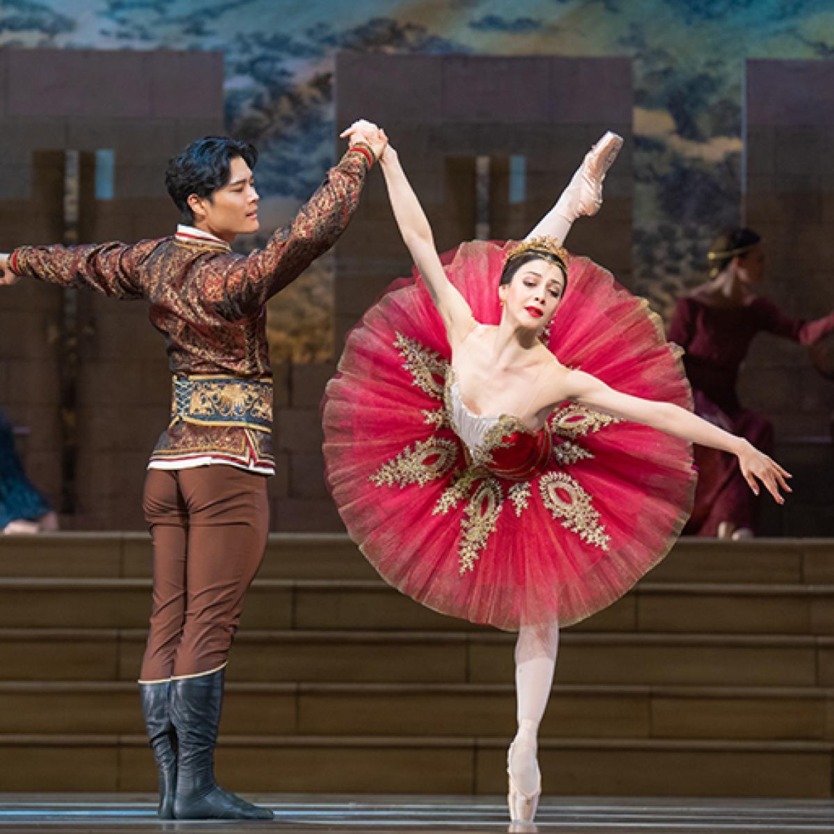 tutu: Hoe een tule rok uitgroeide tot balletfenomeen | Nationale Opera &